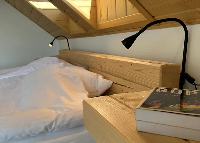 Zlobina Dom ויסלאו