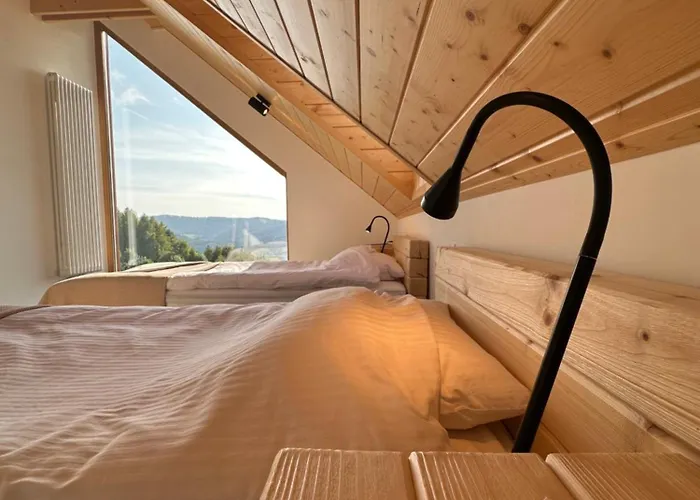 Zlobina Dom ויסלאו